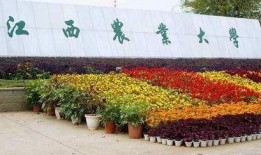 江西农业大学爆料事件视频,视频揭露惊人内幕